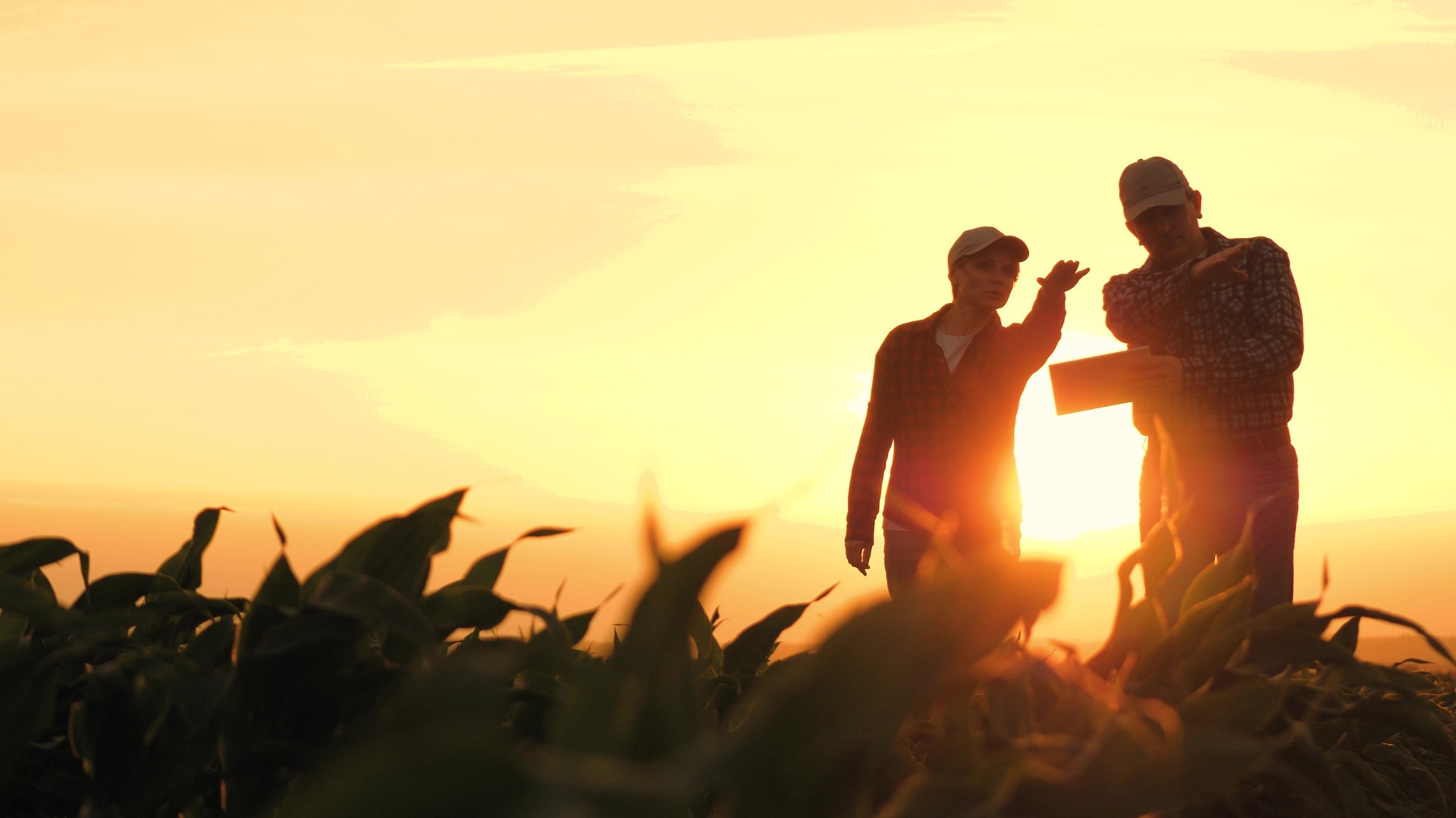 silhouette of two farmers with one holding a work tablet during a sunset